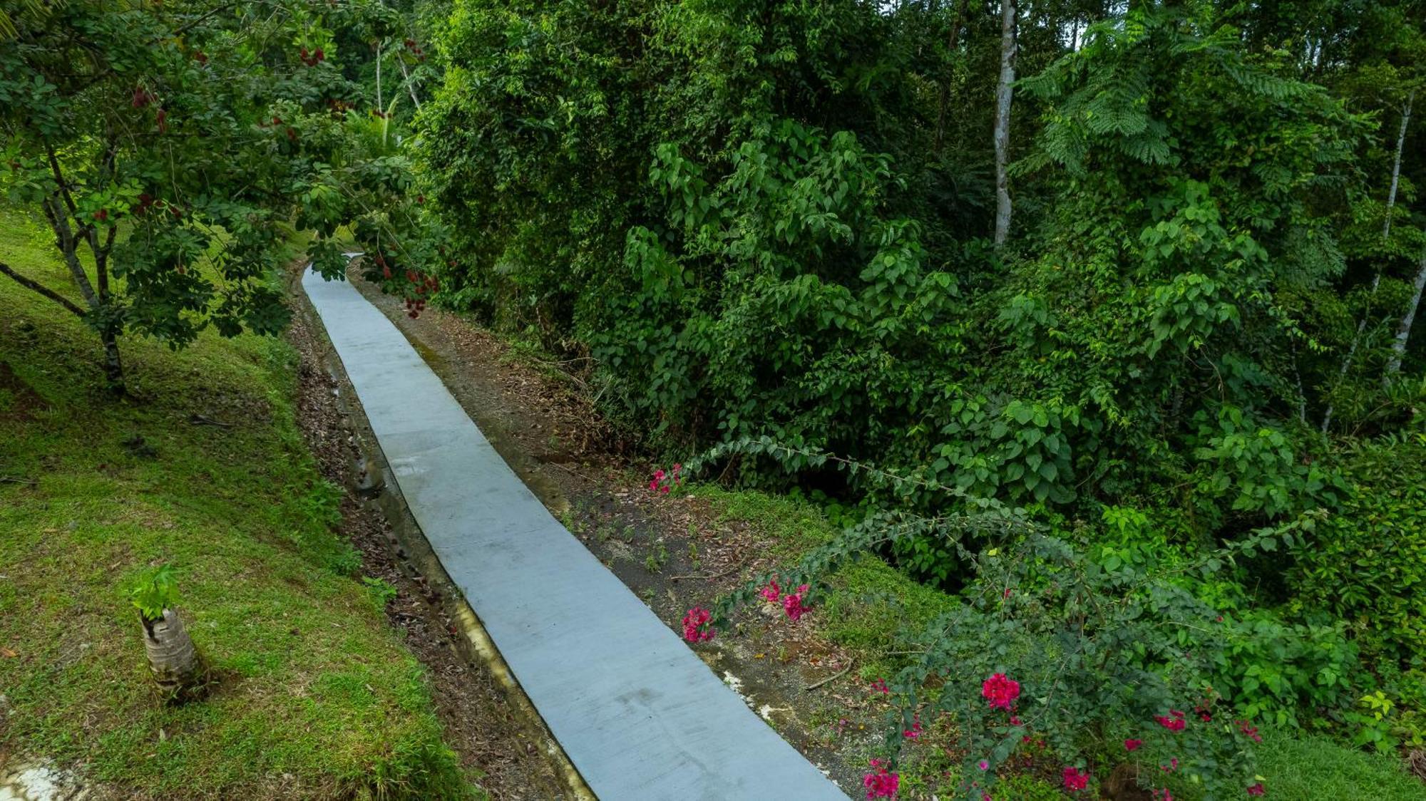 Serenity Rainforest Condos La Fortuna Kültér fotó